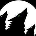 avatar for WolfDancer@bookwyrm.social