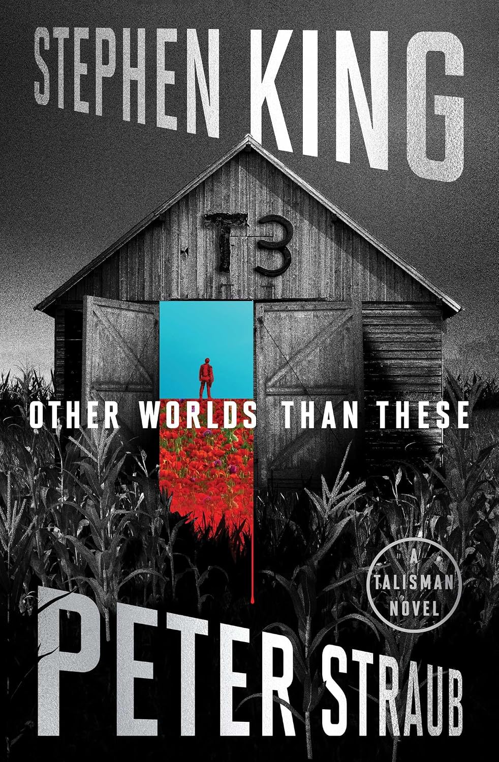 Stephen King: Other Worlds Than These (Hardcover, 2026, Scribner)
